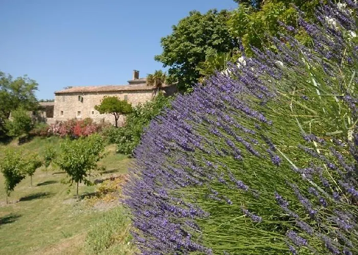 Domaine De Cousignac