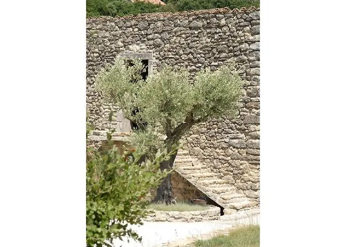 Domaine De Cousignac